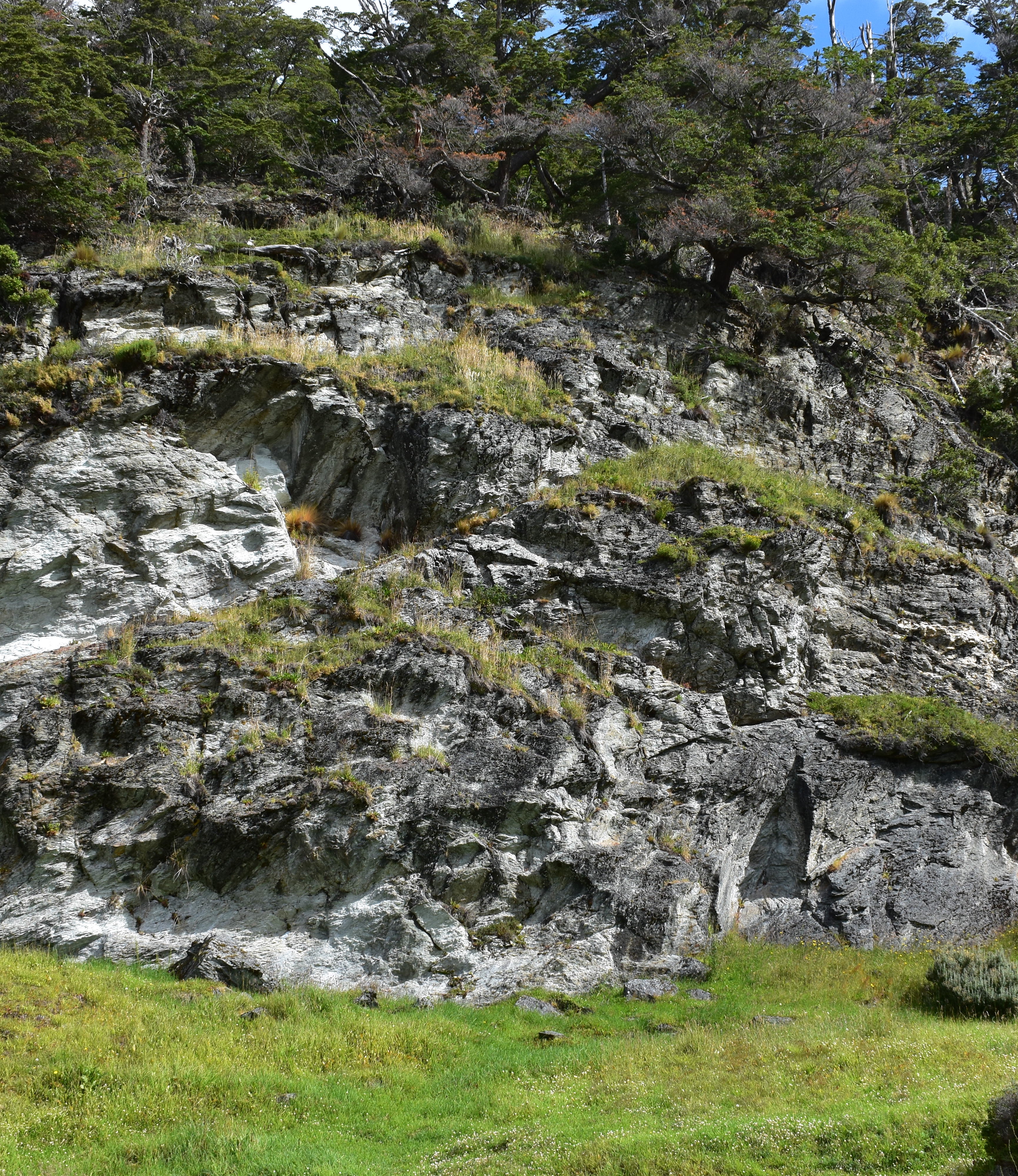 Views from hike in Tierra del Fuego National Park, Argentina, Feb. 5, 2020