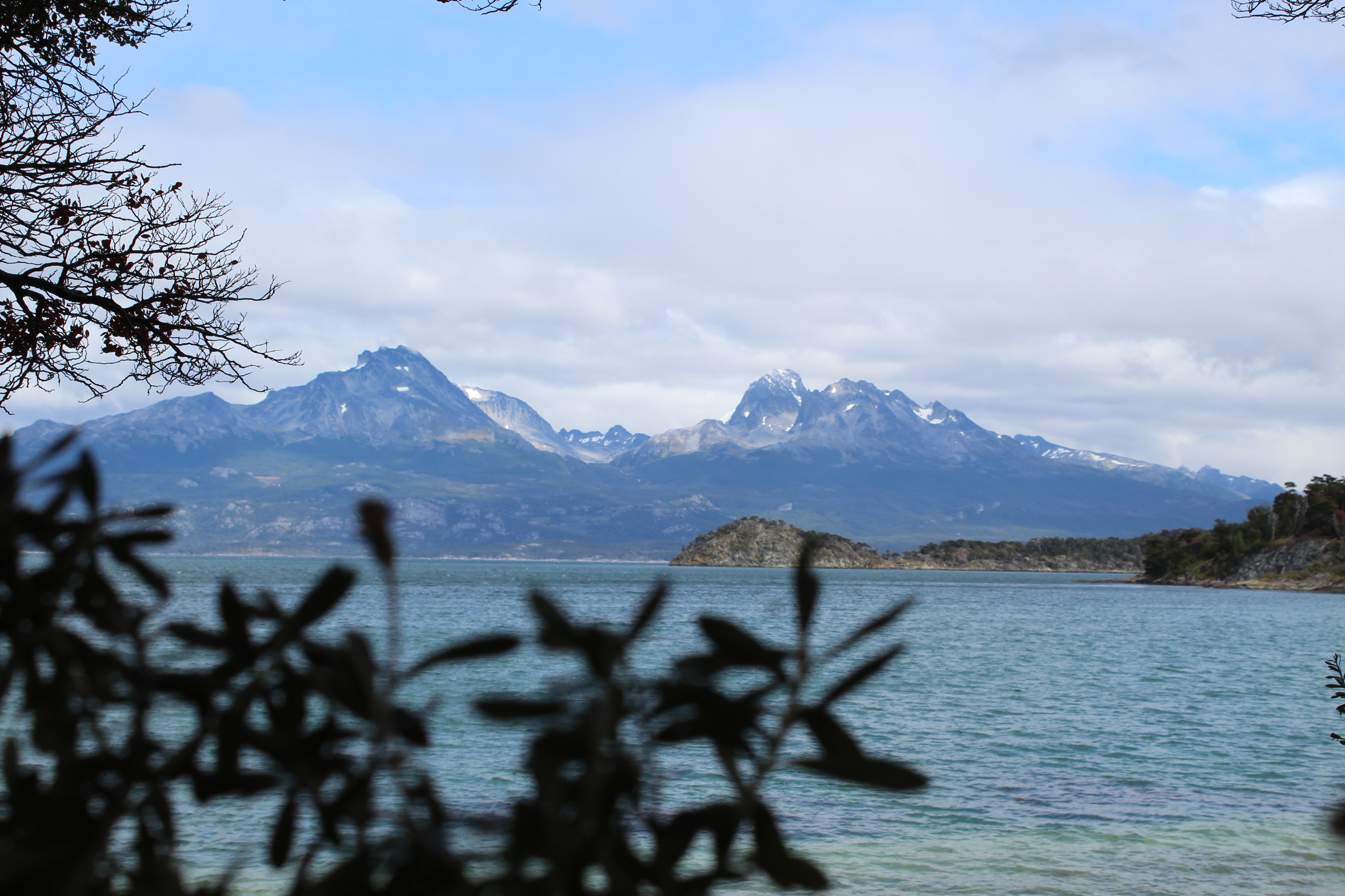 Chilean Mountain view through trees in Ushuaia Feb. 6, 2020